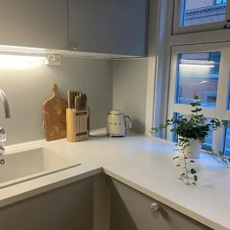 Apartment Unik Og Koselig Midt I Sentrum Av Trondheim