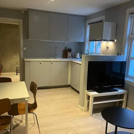 Unik Og Koselig Midt I Sentrum Av Leilighet *