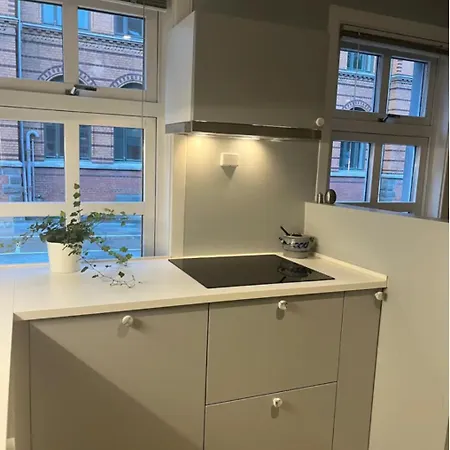 Apartment Unik Og Koselig Midt I Sentrum Av Trondheim